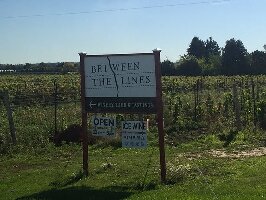 Ontario Canada Winery