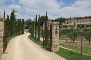 Verona Italy Winery Tour