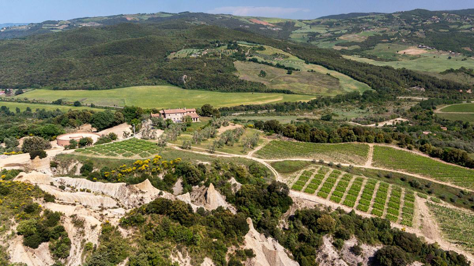 Podere Le Ripi