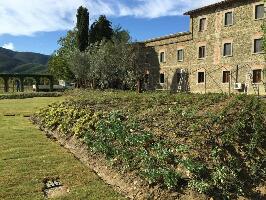 Castiglion Fiorentino Italy Winery Tour