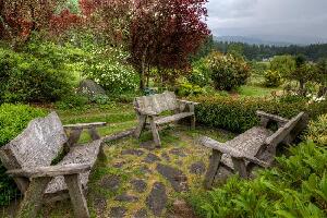 Cowichan Bay Canada Winery Tour