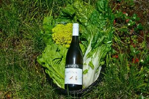 Comox Canada Winery Tour