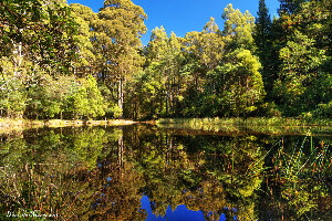 Macedon Ranges Canada Lake
