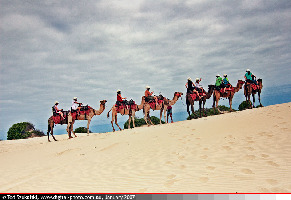 Australia Sand Dunes