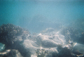Green Island