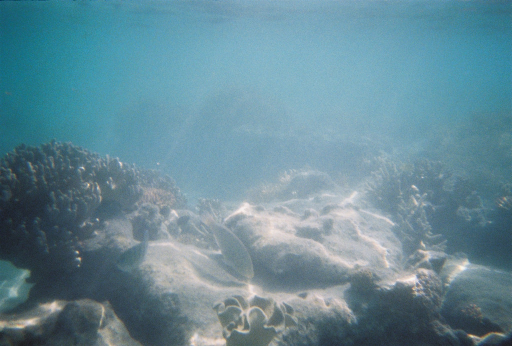 Green Island