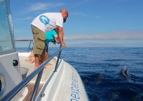 Costa Adeje Spain Experience