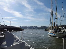 Palmayachts Boat Tours