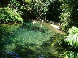 Daintree Discovery Tours