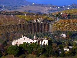 Nascondiglio di Bacco Bacchus HideOut