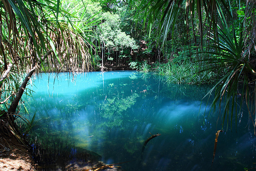 Berry Springs Nature Park