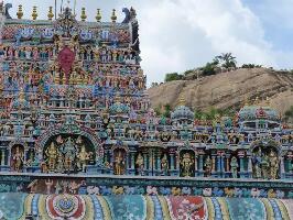 India Odyssey Tours - 1 Day Delhi Tour