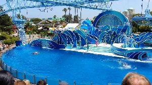 Pattaya Dolphin World