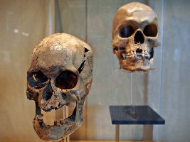 Mexico City Photo Tours