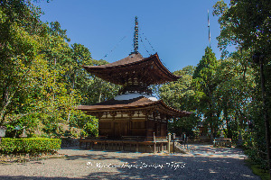 Ishiyamadera Temple