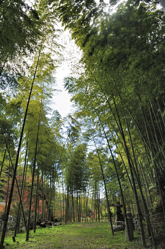 Kenchoji Temple