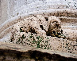 Scuola Grande di San Rocco