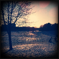 Munich Germany Park