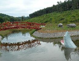 Ipolytarnóc Fossils