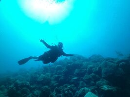 San Nicolas Aruba Dive