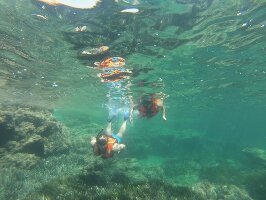 Paseo de Dimas Ortega Lopez Spain Dive