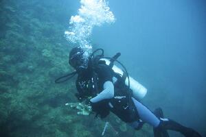 Dive Grenada