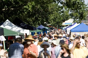 Gisborne Olde Time Market