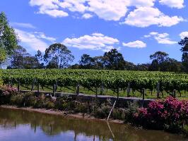 Gisborne Canada Wine Tour