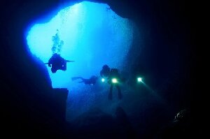 Alghero Italy Dive