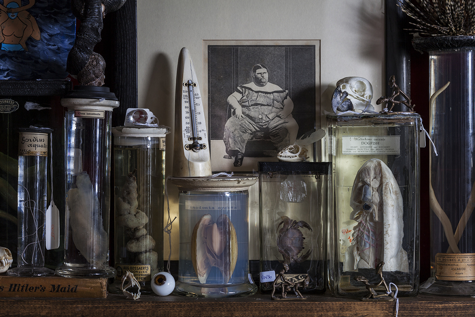 The Viktor Wynd Museum of Curiosities, Fine Art and Natural History