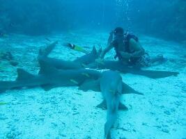 Reef Adventures Belize