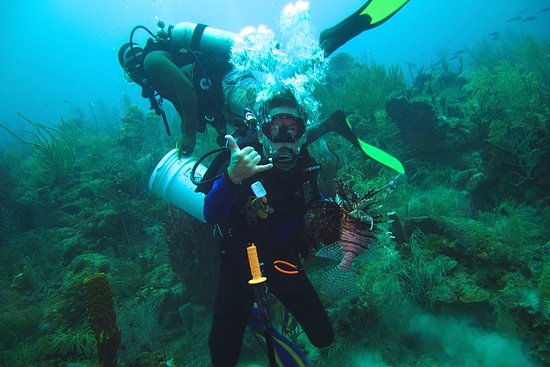Seemore Adventures &ndash; Dive and Adventure Shop