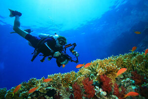 Halkidiki Region Greece Dive