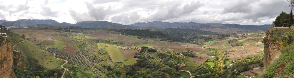 Alameda Del Tajo