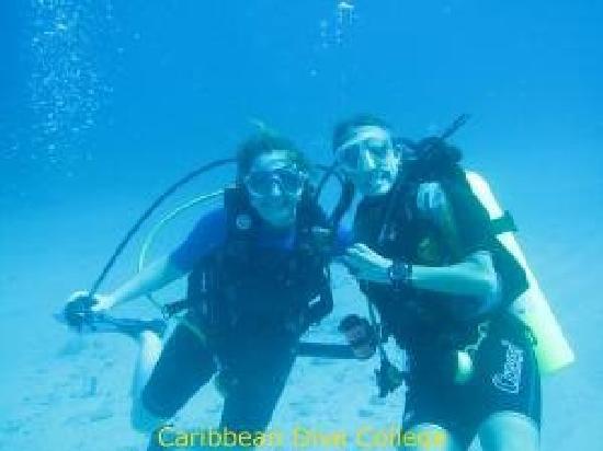 PADI Caribbean Dive College