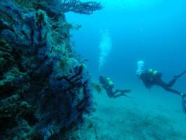 Villeneuve-Loubet France Dive