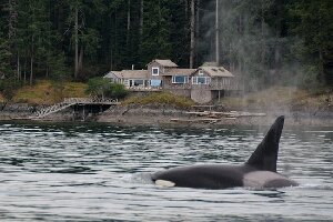 Adventure Quest Tours Canada Inc- Day Tours