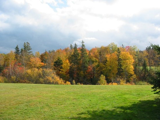 George Larter PEI Guide and Drive Service- Day Tours