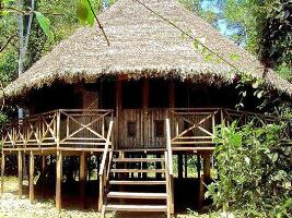 Sacha Runa: Healing, Shamanism and More
