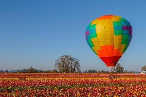 Colorado United States Hot Air Balloon