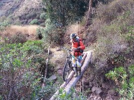 Quechua Bikes