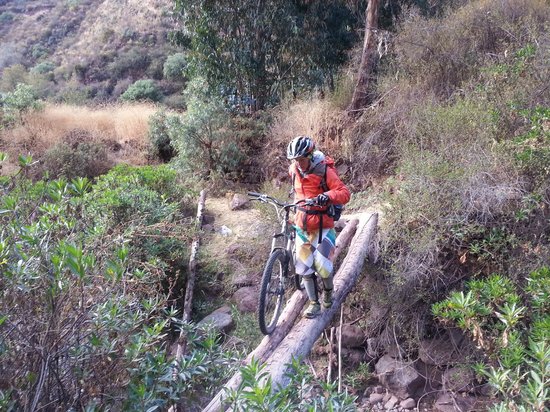 Quechua Bikes