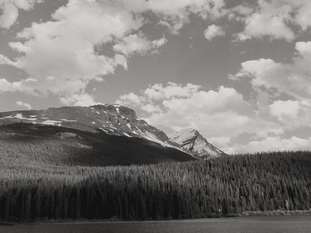 White Mountain Adventures