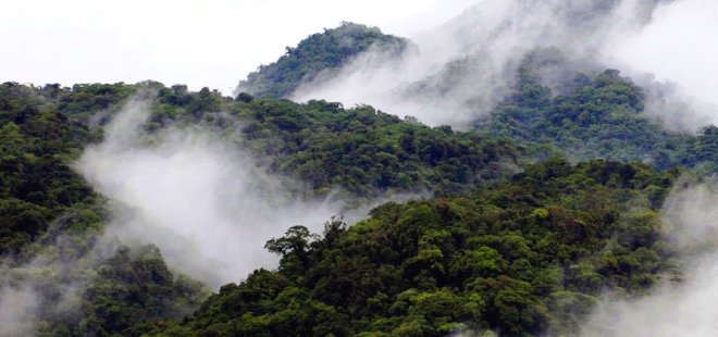 Monteverde Mountain Bike Tours
