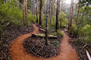 Margaret River Mountain Bike Tours