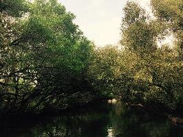 Tainan City Taiwan National Park
