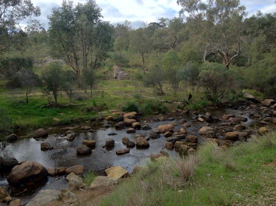 John Forrest National Park