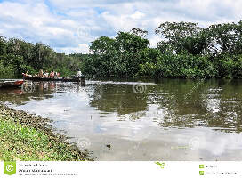 Bolivia River