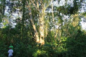 Bala Tours and Ecolodges