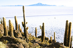 Isla Incahuasi
